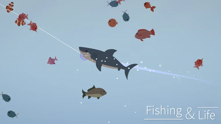 Angelleine, an der ein Dutzend Fische und ein Hai gleichzeitig hängen, hellblaues Wasser